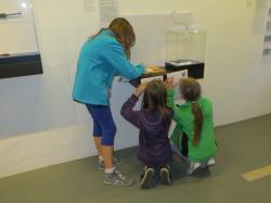 Museum Mansio Sebatum - Foto Peter Ausserdorfer